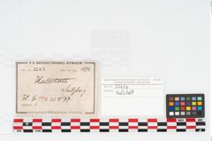 Etikett zu Keramikgefäß (NHMW-PRAE-002243b)